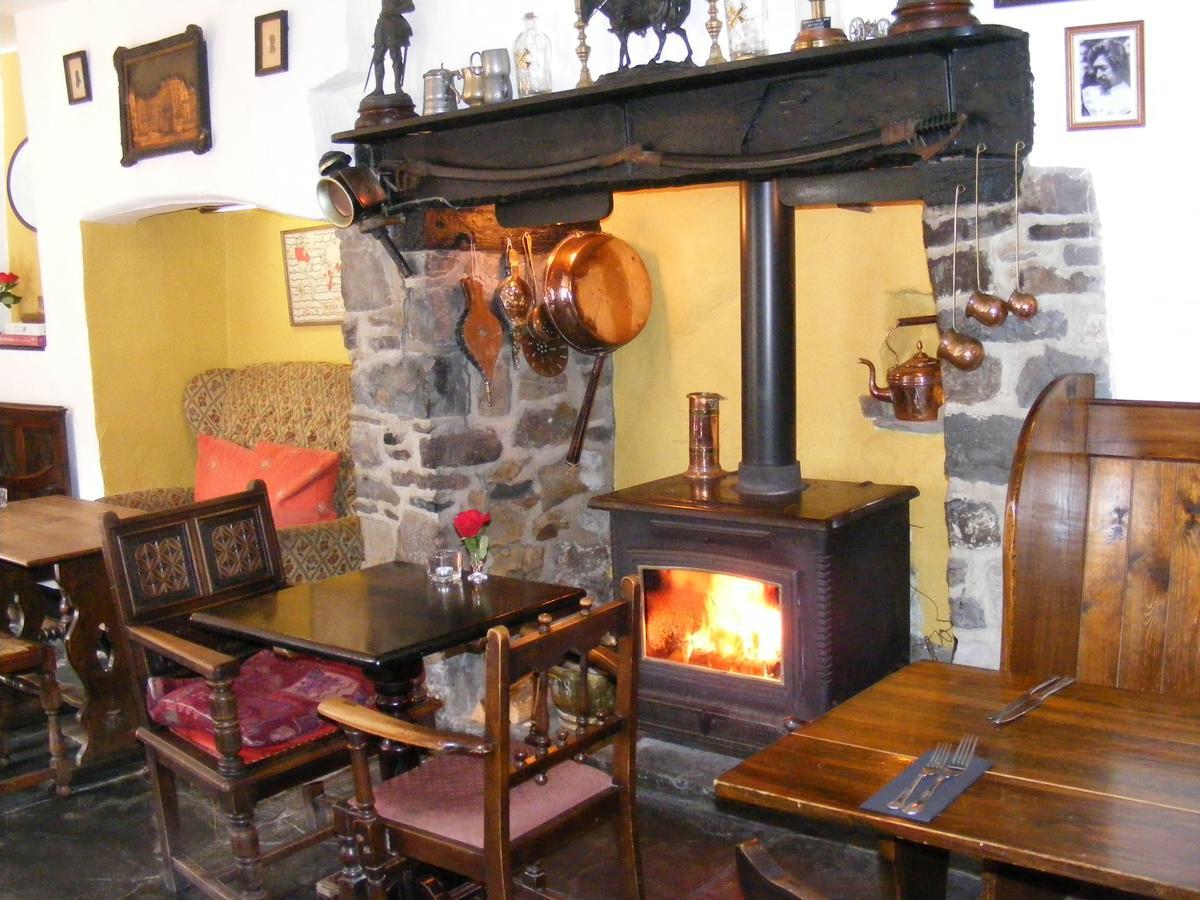 The Tree Inn Bude Kültér fotó