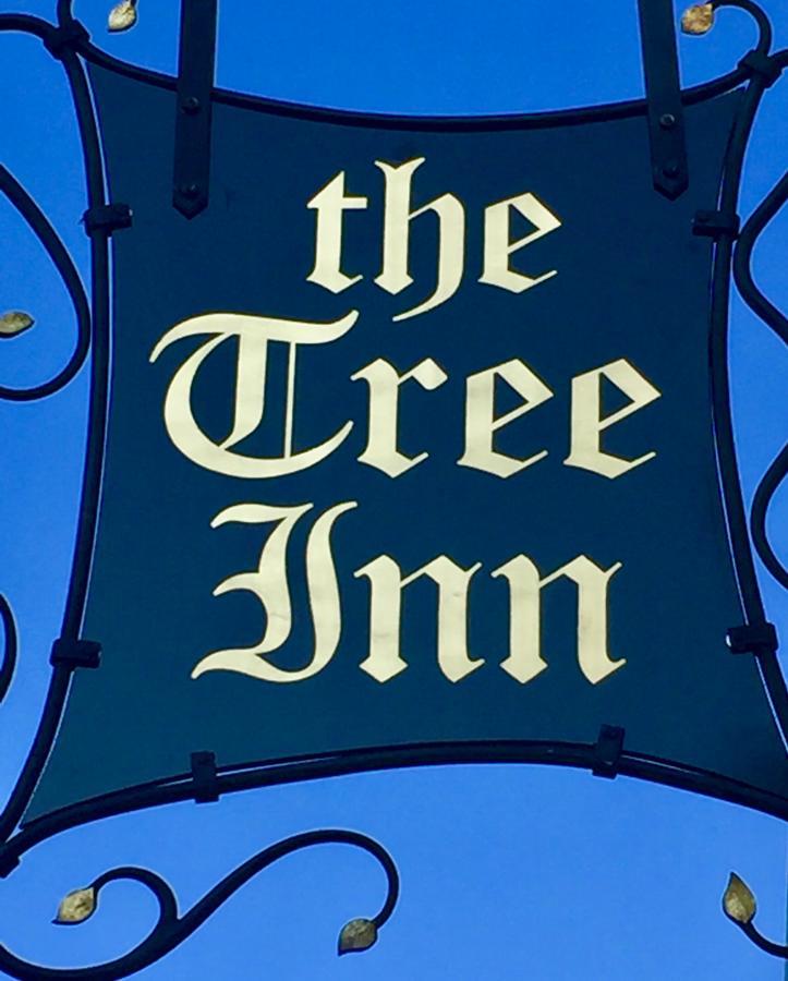 The Tree Inn Bude Kültér fotó
